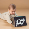 Dubbelzijdig boekje met muziek - Easier beginnings farm musical tummy-time book (Geboortelijst Billie B.)